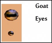 goat_eyes.jpg