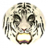 Off-White Good Tiger
